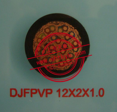 DJFPVP 12*2*1.0 計(jì)算機(jī)屏蔽耐高溫電纜