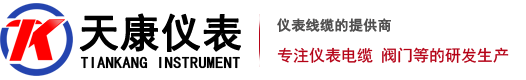 上海天康儀表有限公司